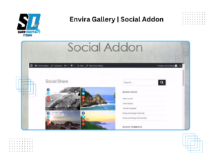 Envira Gallery | Social Addon